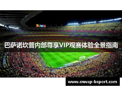巴萨诺坎普内部尊享VIP观赛体验全景指南