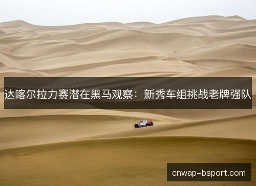 达喀尔拉力赛潜在黑马观察:新秀车组挑战老牌强队 达喀尔拉力赛潜在黑马观察:新秀车组挑战老牌强队